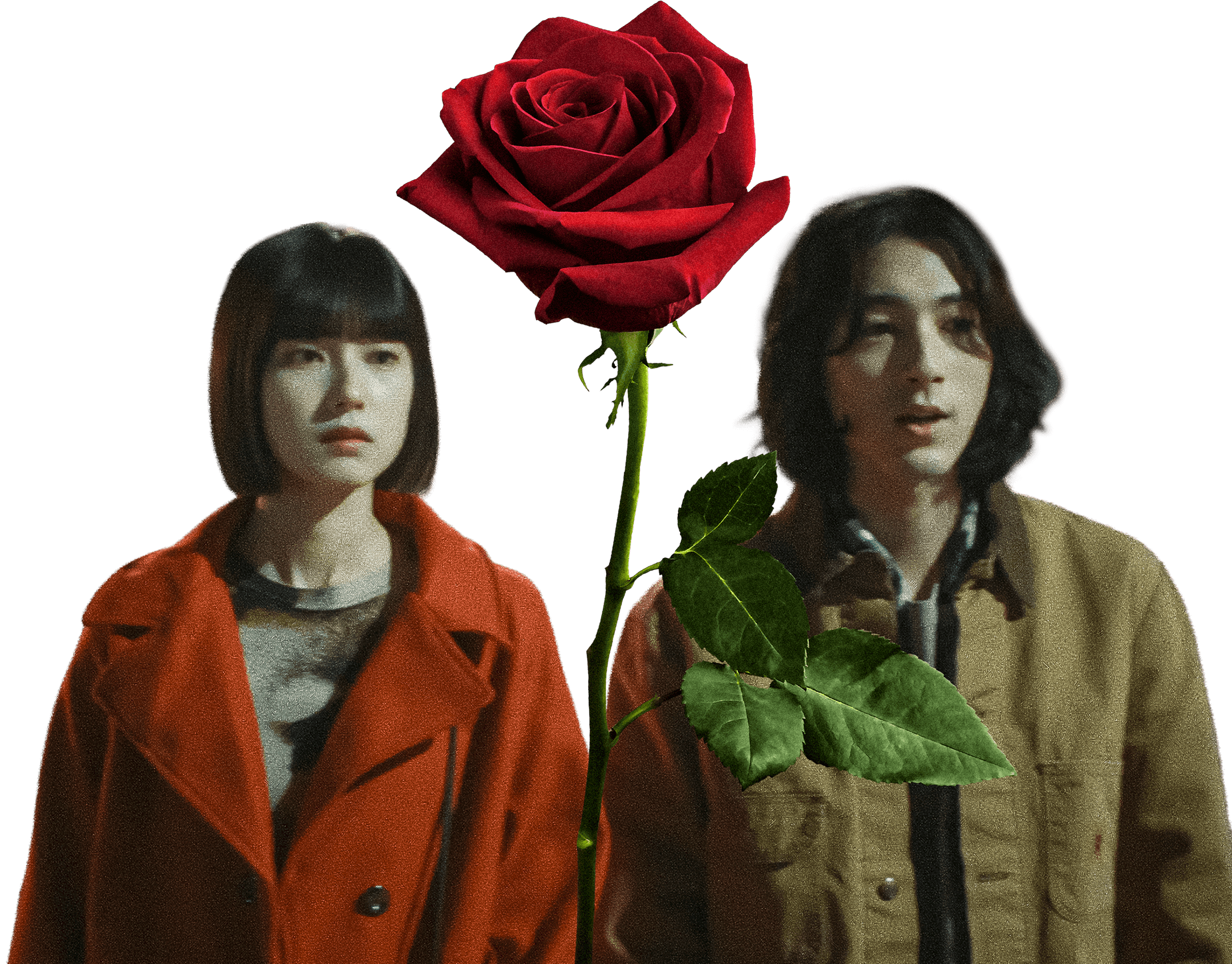 薔薇を挟んで立つヒロとアオイ